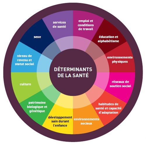 Cercle présentant les 12 déterminants sociaux de la santé